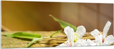 Produktbild von Bilder auf glas - Asien spa bambus blume - 140x50cm - Glasbilder - Wandbilder - Kunstdruck - zum Aufhängen bereit - Wanddekoration aus Glas - Glas Bilder - Wandbild auf Glas - GAB140x50-2499