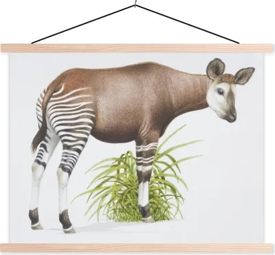 Produktbild von MuchoWow® Textilposter Illustration eines Okapis 60x45 cm mit holzfarbenen Rahmen - Bild