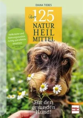 Image de Über 125 Naturheilmittel für den gesunden Hund!