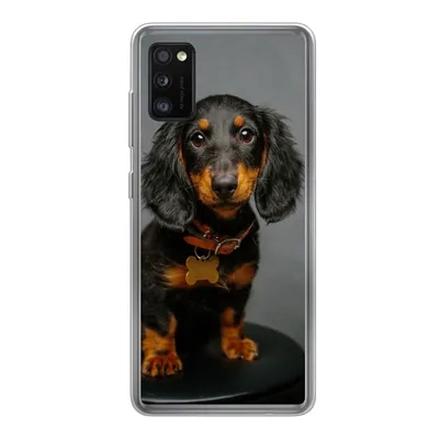 Produktbild von MuchoWow® Handyhülle Schutzhülle Hülle für Samsung Galaxy A41 Studiofoto eines Dackelwelpen Silikon Softcase Handy Hülle - Mobiltelefon