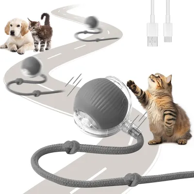 Interaktiver Katzenball mit LED, USB-aufladbar, 3 Modi