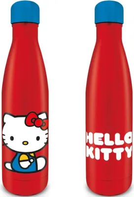 Produktbild von Pyramid International Sanrio Flasche One Size