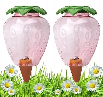 Zdjęcie produktu dla Nawadniacz automatyczny do roślin gliniany przezroczysty 500 ml 2 szt