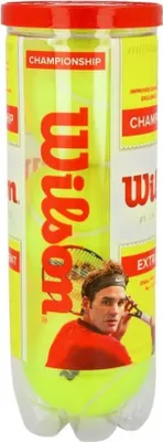 Image de Wilson Balons Championship Extra Duty 3P, WRT100101