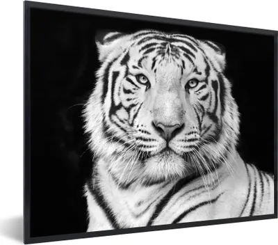 Produktbild von MuchoWow® Gerahmtes Poster Tiger - Schwarz - Weiß - Porträt - Tiere 80x60 cm - Poster mit Schwarzem Bilderrahmen Wandposter Rahmen Foto Bilder - Schwarzem - Mit Gestell