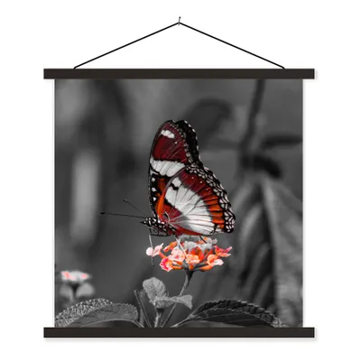 Produktbild von MuchoWow® Textilposter Schmetterling - Tiere - Blumen - Schwarz und weiß - Orange 60x60 cm mit schwarzem Rahmen - Posteraufhänger