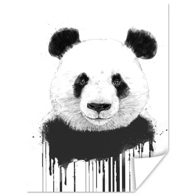 Produktbild von MuchoWow® Poster Panda - Tropfen - Tiere - Weiß 60x80 cm - Schlafzimmer Dekoration