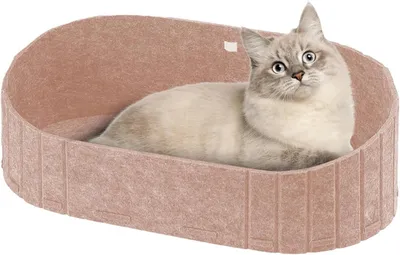 Immagine prodotto di Cuccia per gatti in feltro - Divano per animali domestici - Comfortevole per il riposo - Materiale naturale traspirante - 61 x 33,5 cm - Beige chiaro
