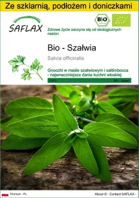 Zdjęcie produktu dla SAFLAX - Zestaw do uprawy - Bio - Szałwia - 60 Nasiona - Z mini szklarnią, podłożem uprawowym i 2 doniczkami - Salvia officinalis