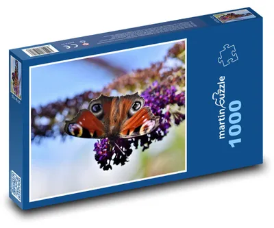 Zdjęcie produktu dla Puzzle 1000 Rusałka pawik na kwiecie - martinpuzzle