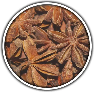 Produktbild von Sternanis Dose