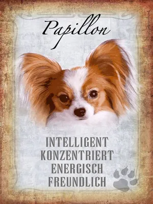 Produktbild von vianmo Holzschild 40x30 cm Papillon Hund