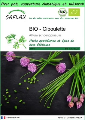 Image de SAFLAX Garden to go -- Ciboulette - 250 graines - Allium