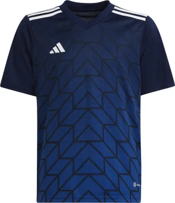 Image de Koszulka adidas Junior Team Icon 23 HR2653 128