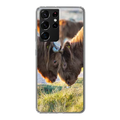 Produktbild von MuchoWow® Handyhülle Schutzhülle Hülle für Samsung Galaxy S21 Ultra Schottische Highlander - Tiere - Sonne Silikon Softcase Handy Hülle - Mobiltelefon