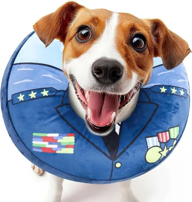 Image de SoplutuX Collier pour chien Chats Protection contre les fuites Collier réglable Chiens
