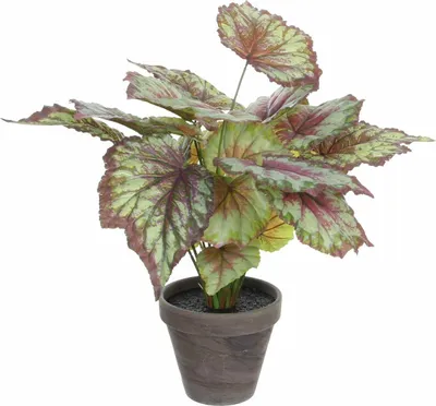 Zdjęcie produktu dla Sztuczna roślina Mica Decorations Begonia - H40 x Ø38 cm - Czerwony