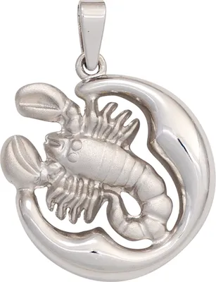 Produktbild von JOBO Anhänger Sternzeichen Skorpion 925 Sterling Silber rhodiniert teilmattiert