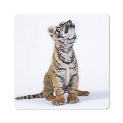 Produktbild von MuchoWow® Mauspad Mousepad Tiger - Jungtier - Weiß 20x20 cm - Mousepads - Maus Mat - Pad - Mausunterlage - Desk Mat - Bureauartikeln