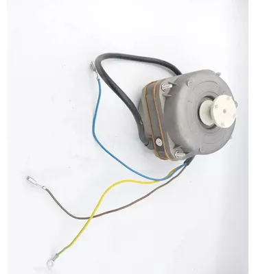 Immagine prodotto di #17 Motore Elettrico Yzf482175A 25W 1300Rpm Per Riscaldatore Elettrico Dedra Ded9920B Xded9920B.17