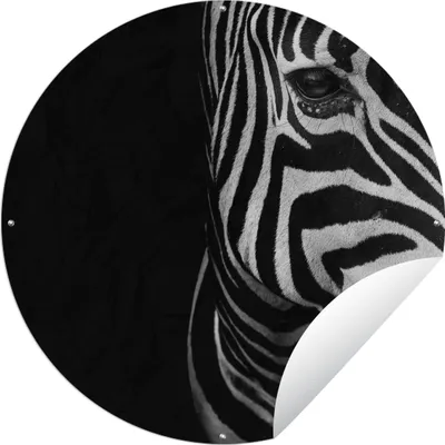 Produktbild von MuchoWow® Gartenposter Outdoor-Poster Rund Tiere - Zebra - Schwarz - Weiß Ø 90 cm Gartendeko Rundes Poster draußen