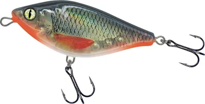 Produktbild von Balzer Shirasu Jerk Bait 12cm Farbe Clear Roach