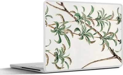 Produktbild von MuchoWow® Laptop Aufkleber Sticker Cover Japanisch - Dschungel - Vintage 30x22 cm - Laptop-Sticker