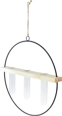 Produktbild von Hängedeko mit Reagenzgläsern und Metallring für Blumenarrangements