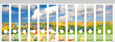 Produktbild von Wallario Ordnerrücken Sticker, selbstklebend für breite Ordner, 12 Stück, Motiv Tulpenwiese unter blauem Himmel