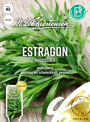Artikelbild 1 von 'Estragon Russischer' aus der Kategorie Estragonsamen