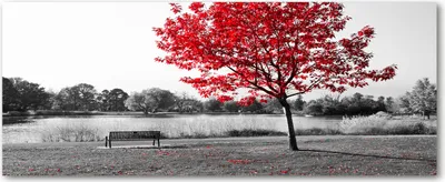 Produktbild von Tulup® Glas-Bild Wandbild aus Glas - 125x50 - Wandkunst - Wandbild hinter gehärtetem Sicherheitsglas - Dekorative Wand für Küche & Wohnzimmer  - Landschaften - Roter Baum - Rot