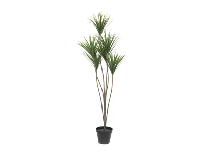 Zdjęcie produktu dla EUROPALMS Palma Yucca, sztuczna roślina, 130 cm