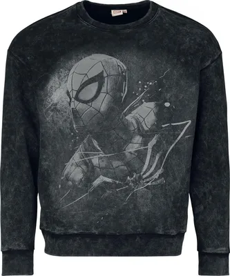 Produktbild von Spider-Man Sweatshirt Herren Spider-Man schwarz S