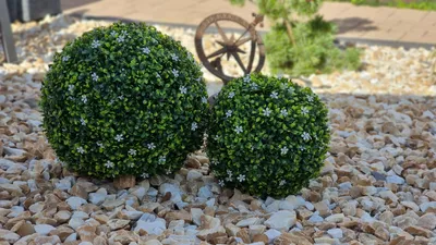 Produktbild von Dekokugel aus Kunststoff mit naturgetreuer Blattnachbildung - Jasmin - 450 mm - detaillierte Blattnachbildung - hochwertiger Kunststoff - dichtes Blattwerk - UV- und witterungsbeständig - für Innen- und Außenbereich