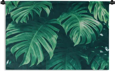 Produktbild von MuchoWow® Wandteppich Wandbehang Monstera - Blätter - Pflanzen - Dschungel - Natur 60x40 cm Tapisserie Dekoration Wandtuch - Wanddekorationen