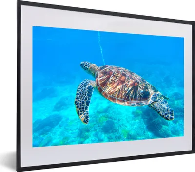 Produktbild von MuchoWow® MuchoWow® Gerahmtes Poster Schildkröte - Meer - Blau 60x40 cm - Poster mit zchwarzem Bilderrahmen - Schlafzimmer - Plakat in Rahmen - Drucken