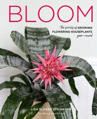 Produktbild von Bloom