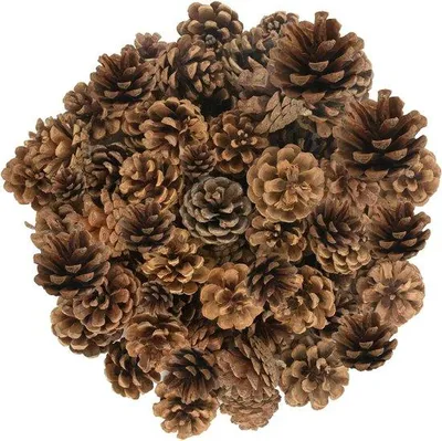 Zdjęcie produktu dla Dekoracje świąteczne - brązowe - 2-4 cm - naturalne szyszki sosnowe - do rękodzieła i dekoracji