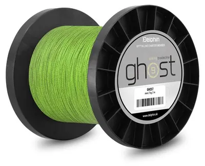 Produktbild von Delphin GHOST 8+1/ grün 0,16mm 8,2kg 6000m