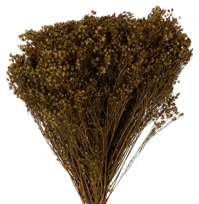 Produktbild von Trockenblumen für Dekoration Kränze und Gestecke