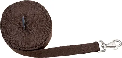Image de Waldhausen Laisse de longe Soft Marron