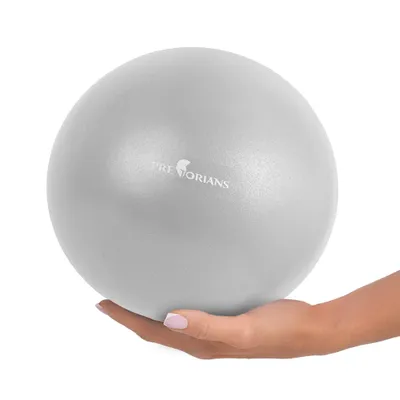 Produktbild von Mini Gymnastikball 25 cm Anti Burst Fitnessball Yoga-Ball Bis 100 kg Grau