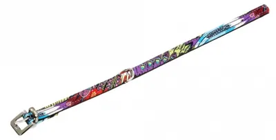 Produktbild von Karlie Halsband Peacock - grün/schwarz - 24 cm / 10 mm