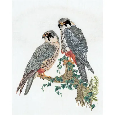 Zdjęcie produktu dla Théa Gouverneur Zestaw do haftu krzyżykowego "Faucons Aïda", 48x60cm (48x60in)