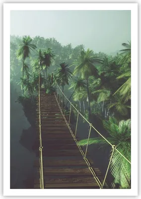 Produktbild von Poster - Poster ohne Rahmen - Dschungel Palme Brücke - 70x100 cm - Wand Bild - Wanddeko - Wandbilder - Kunstposter - Wandposter - Bilder - Kunstdruck - Wanddekoration - Wandbild - P2XPA70x100-3674