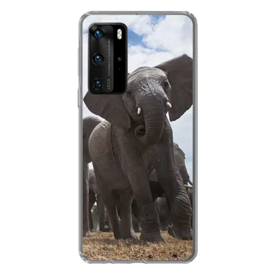 Produktbild von MuchoWow® Handyhülle Schutzhülle Hülle für Huawei P40 Pro Elefant - Tiere - Natur - Flachland Silikon Softcase Handy Hülle - Schutz