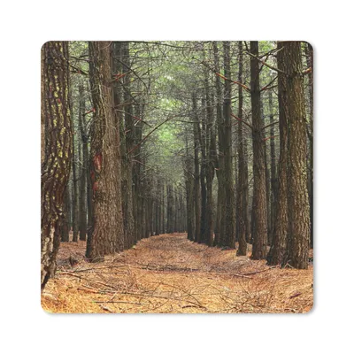 Produktbild von MuchoWow® Mauspad Mousepad Herbst - Dekoration - Wald 30x30 cm - Mousepads - Maus Mat - Pad - Mausunterlage - Gaming