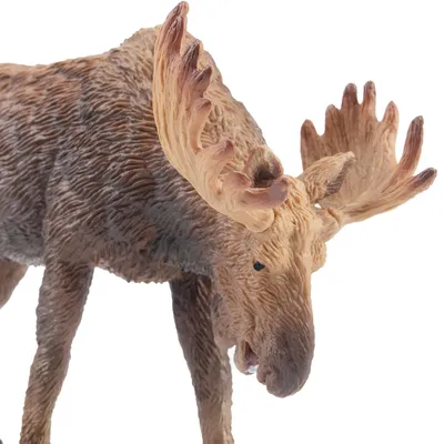 Produktbild von Toymany ML00328 Elch 10,2 cm Wildtiere