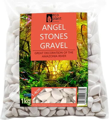 Zdjęcie produktu dla Eco Plant Angel Stones 1kg - białe kamienie otoczak 10-40mm