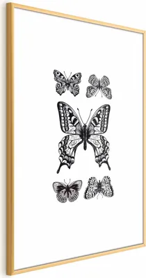 Produktbild von Posterpapier Poster - Five Butterflies 40x60 cm Tiere g-B-0118-ao-a
